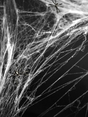 Zirnekļu tīkls, balts, 60 g