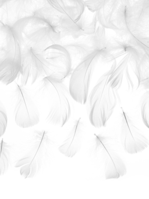 Decorative feathers, white, 5-8 cm, 3 g