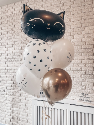 Hēlija balonu pušķis "Melns Kaķis"