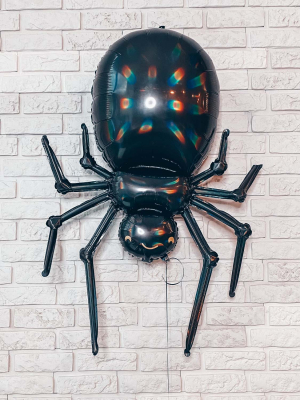 Zirneklis ar hēliju, 60 x 101 cm