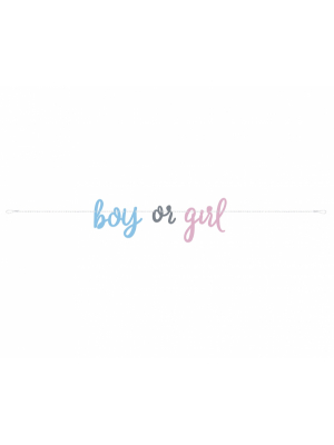 Baneris boy or girl, zils ar rozā, 213 cm