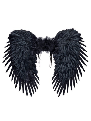 Melni spārni, 80 x 60 cm
