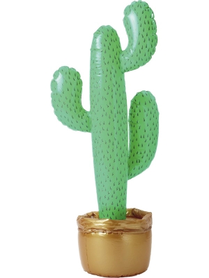 Piepūšamais kaktuss, 90 cm