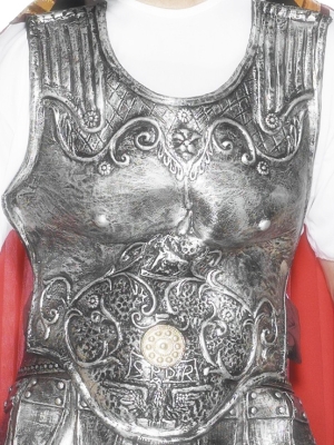 Roman Soldiers Breastplate Armour