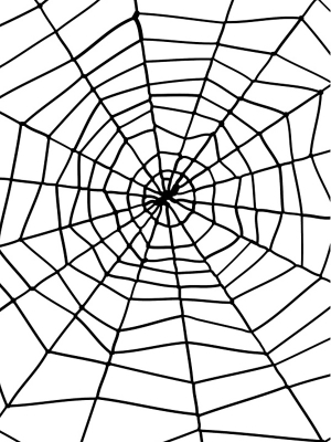 Zirnekļa tīkls ar zirnekli